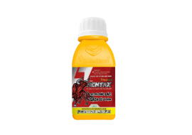 BENTAX