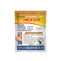 HEXVA