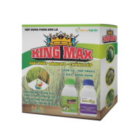 KING MAX