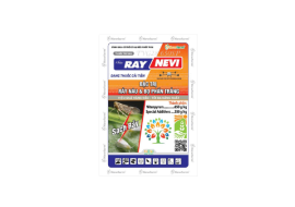 RAY NEVI