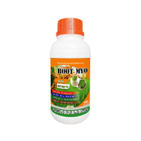 MYO AMINO