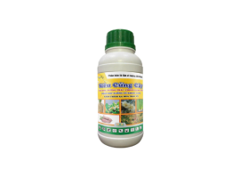 SIÊU CỨNG CÂY