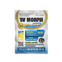TV MORPH 60WP