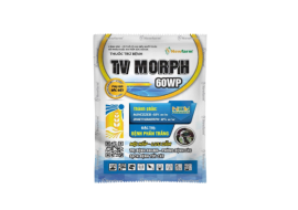 TV MORPH 60WP